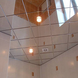  потолка нержавеющими декоративными панелями