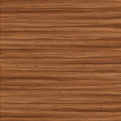 w-016 elm smooth leaved