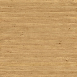 w-017 hornbeam european